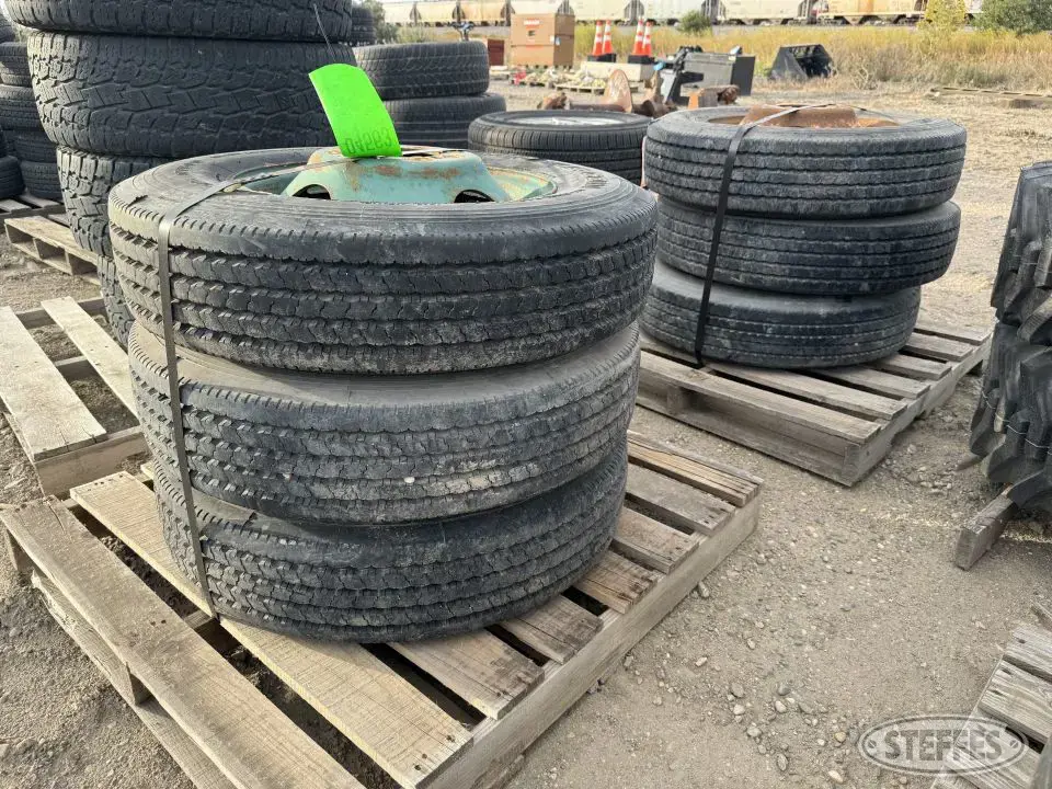 Double Coin Truck Tire
