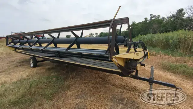 2007 Honeybee SP30