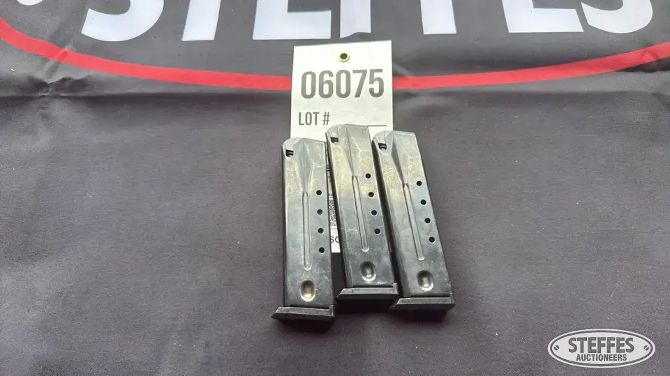 (3) Ruger 9mm magazines Accessory
