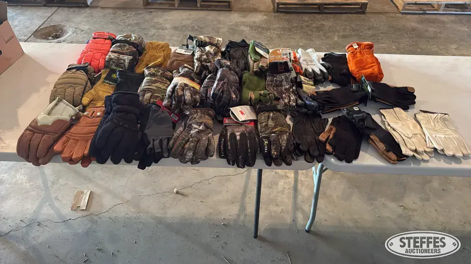 Several pairs large gloves Personal Property