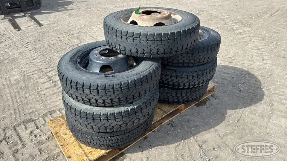 (7) Double Coin 225/70R19.5 tires Truck Tire
