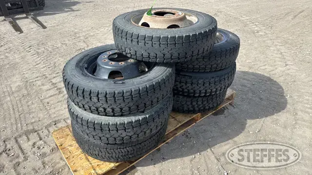(7) Double Coin 225/70R19.5 tires