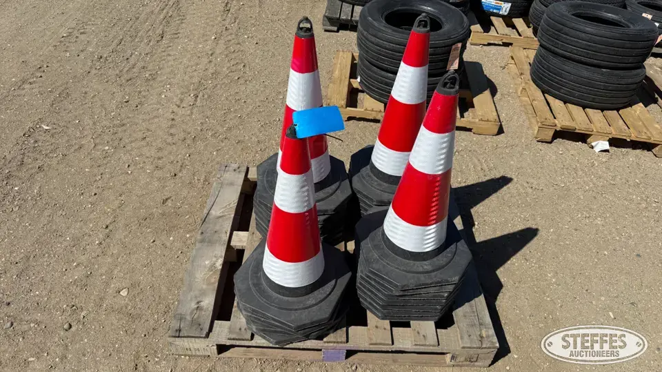 (25) Safety cones Construction Support Item
