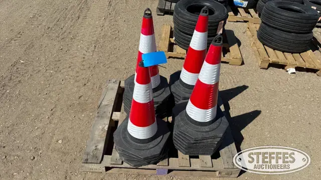 (25) Safety cones