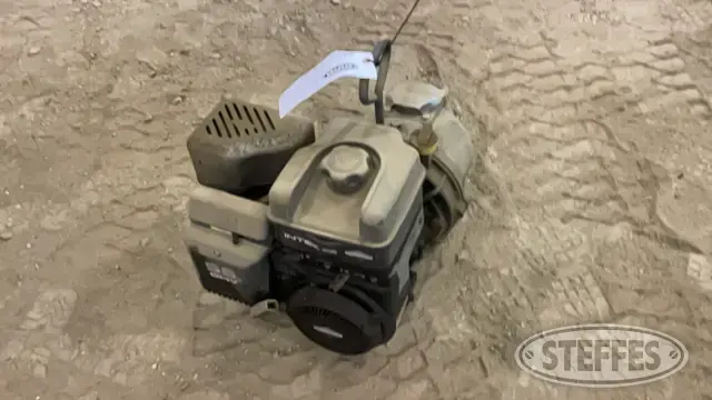 Briggs & Stratton Intek 206