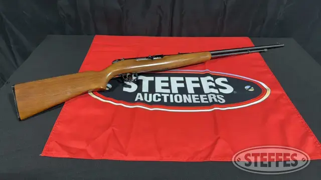 Remington 550-I