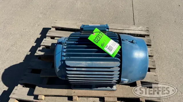 Weg Electric Motor