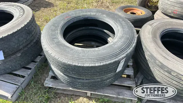 (2) 11R24.5 tires