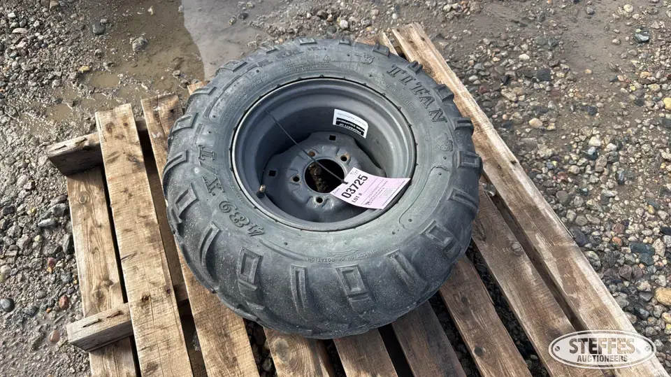 Titan 489 X/T 25x11-12 tire ATV-UTV Tires and Track