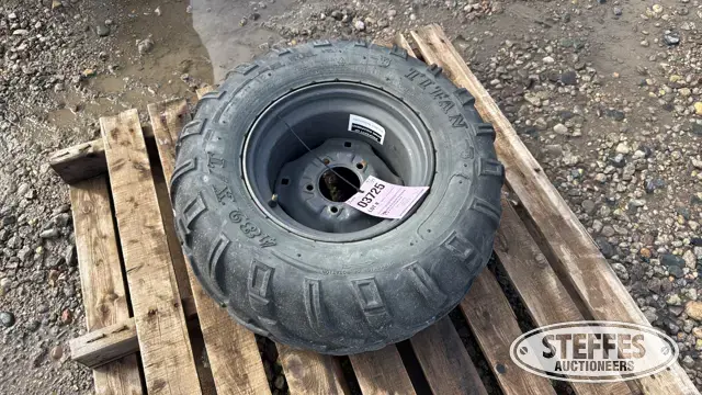 Titan 489 X/T 25x11-12 tire