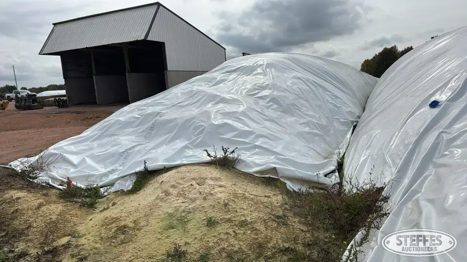 2025 Corn Silage Forage