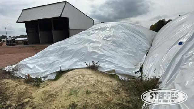 2025 Corn Silage