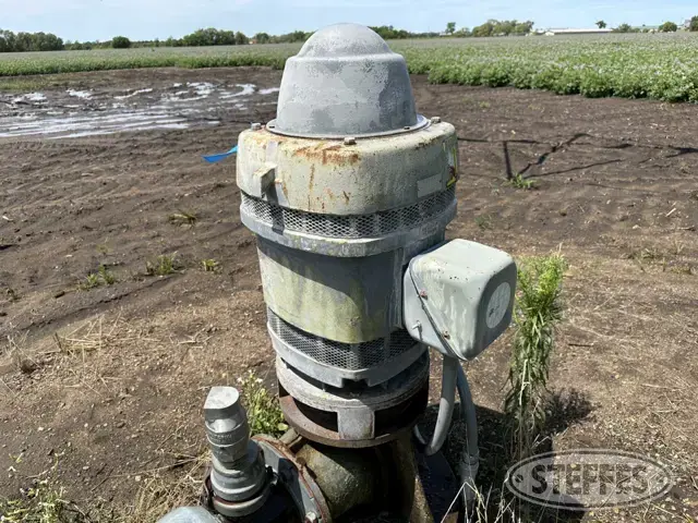 Vertical Hollow Shaft Motor and Well Pump