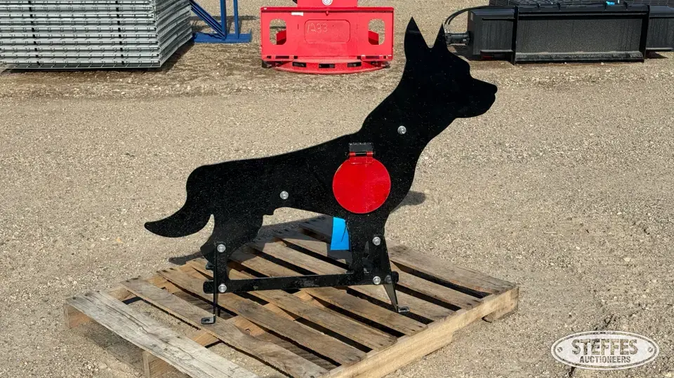Pabreak shooting target Recreational-Other