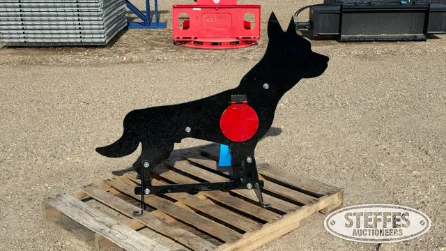 Pabreak shooting target