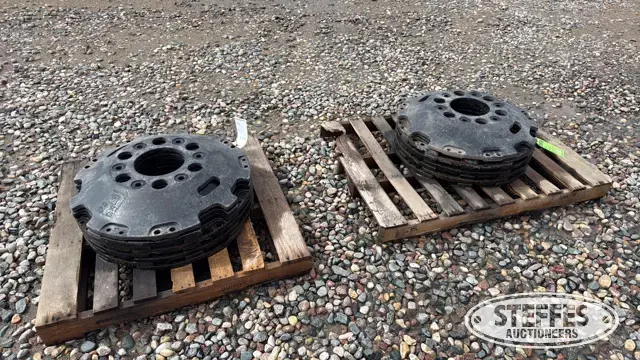 (16) Challenger front idler weights