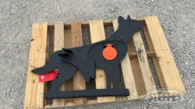 Pabreak shooting target