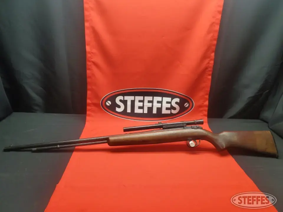Remington 550-1 Rifle