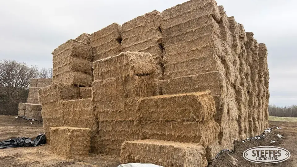 (34 Bales) 3x4x8 square Forage