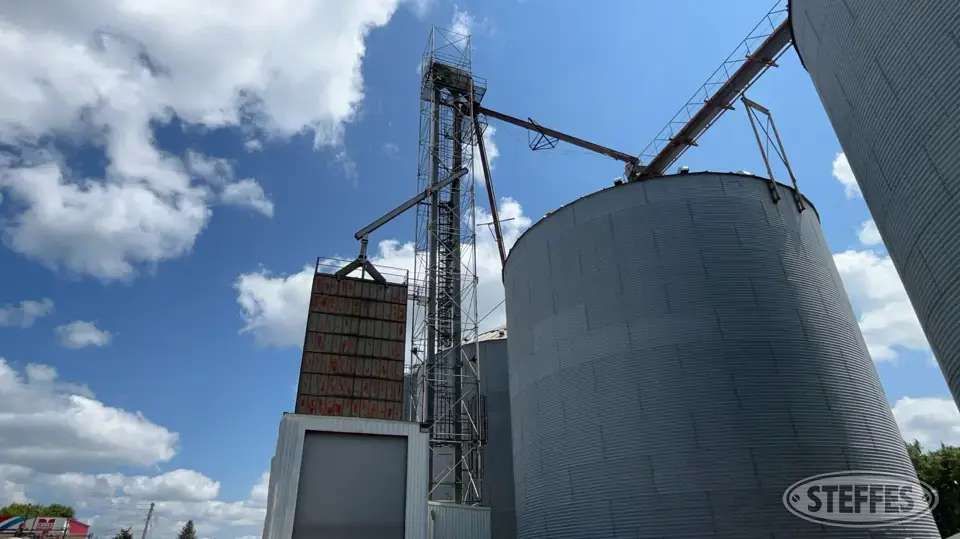 Grain Leg