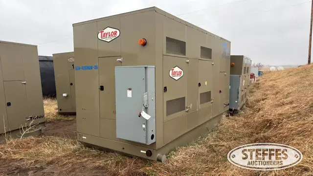 2013 Taylor TG400