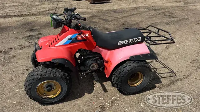 Suzuki QuadRunner 230