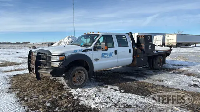 2015 Ford Super Duty F-450