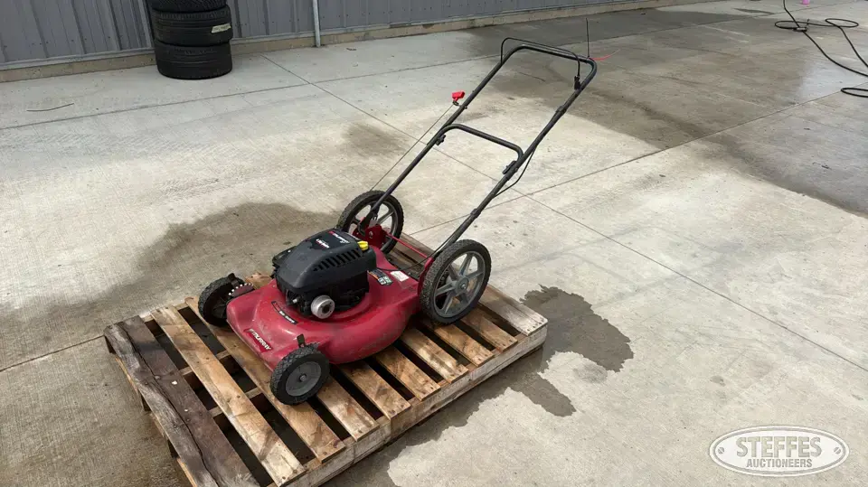 Murray 225110X48A Push Mower