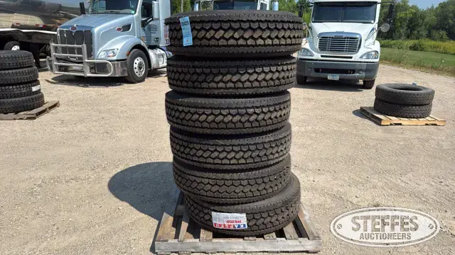 (6) Kapsen HS208 295/75R22.5 tires
