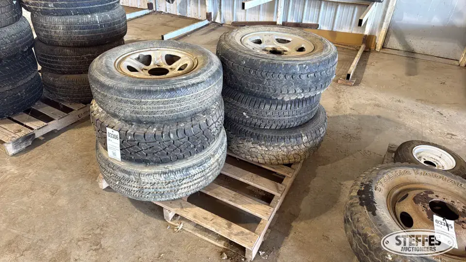 (6) Tires on wheels Passenger-Light Truck Tire