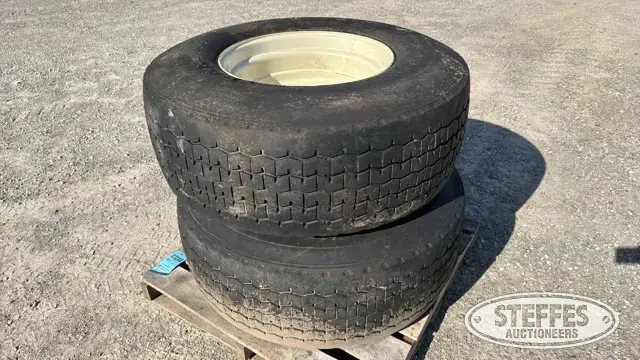(2) 425/65R22.5 tires