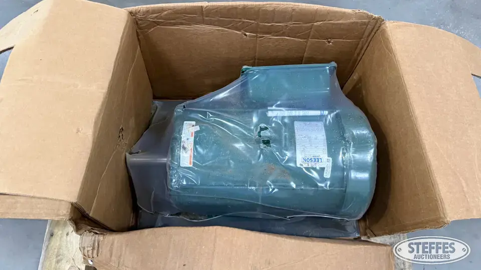 Leeson electric motor Farm Support Item