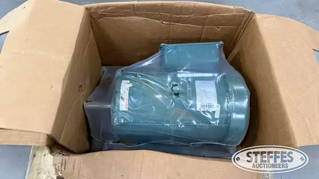 Leeson electric motor