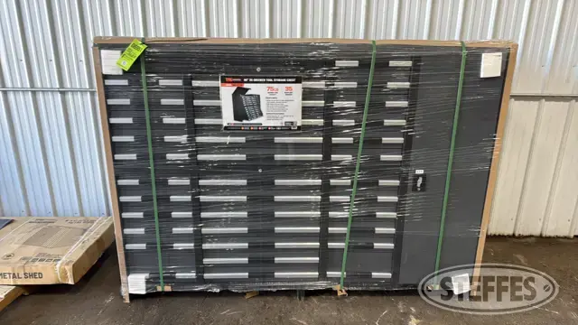 2025 TMG SC35D