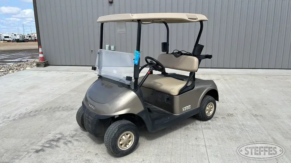 2017 EZ-GO RXV Golf Cart