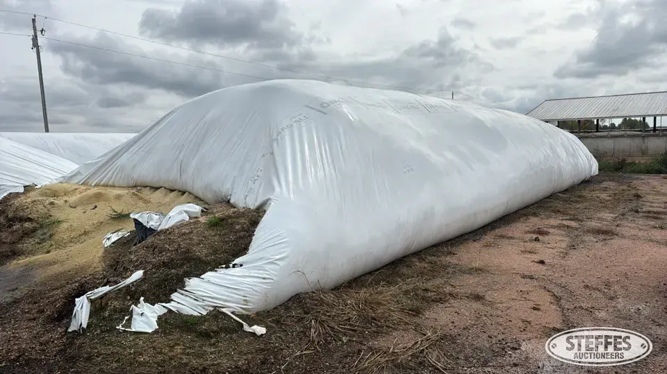 2025 Corn Silage Forage
