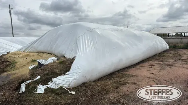 2025 Corn Silage