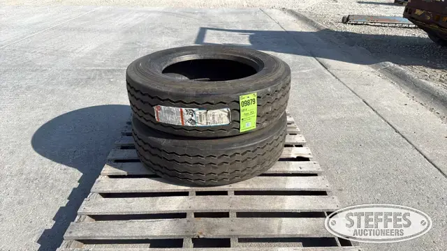 (2) Dayton D5205 225/70R19.5 tires