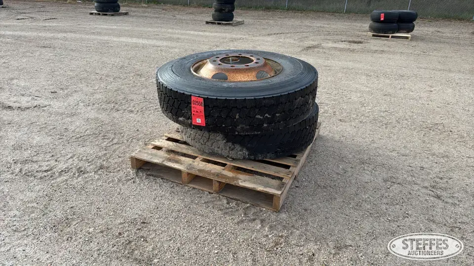 (2) 11R22.5 tires Truck Tire