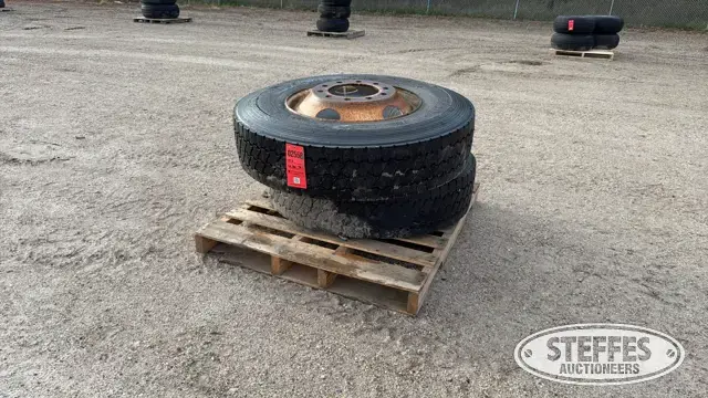 (2) 11R22.5 tires