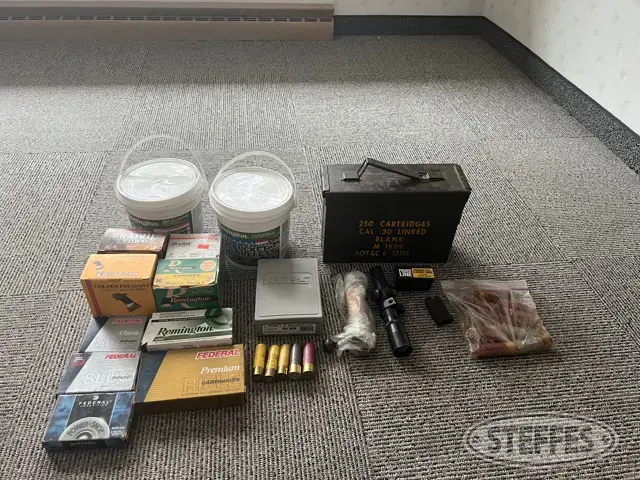 Assorted ammo