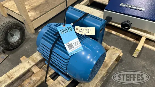 WEG motor