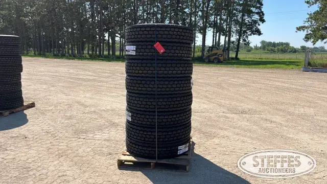 (8) Headway HLD811 11R22.5 tires
