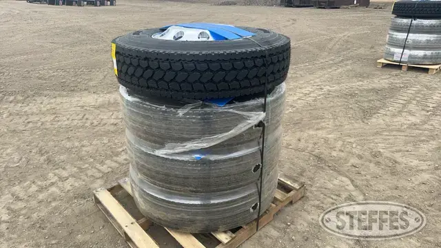 (4) Kapsen HS208 11R22.5 Tires