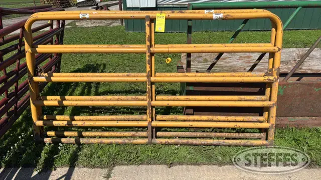 (2) Sioux gates
