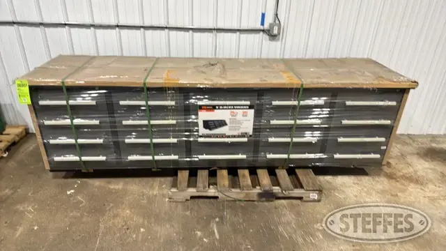 2025 TMG WB20D