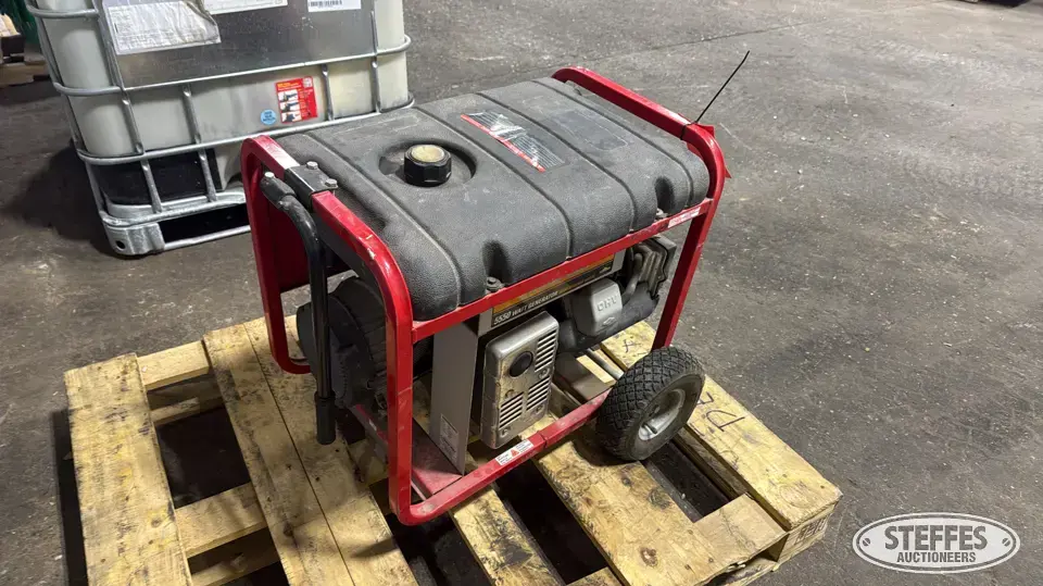 Troy-Bilt 1919 Generators Less Than 10 kW