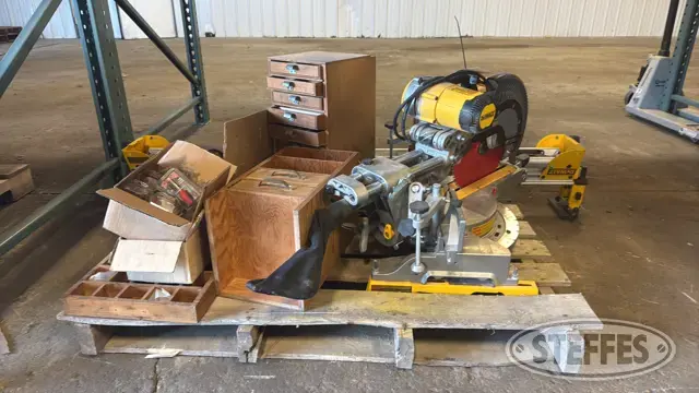 DeWalt DWS780