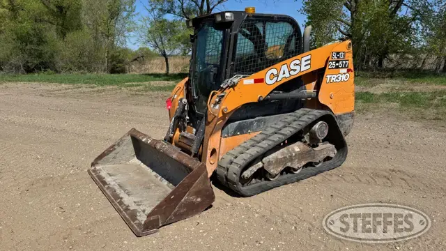 2019 Case TR310