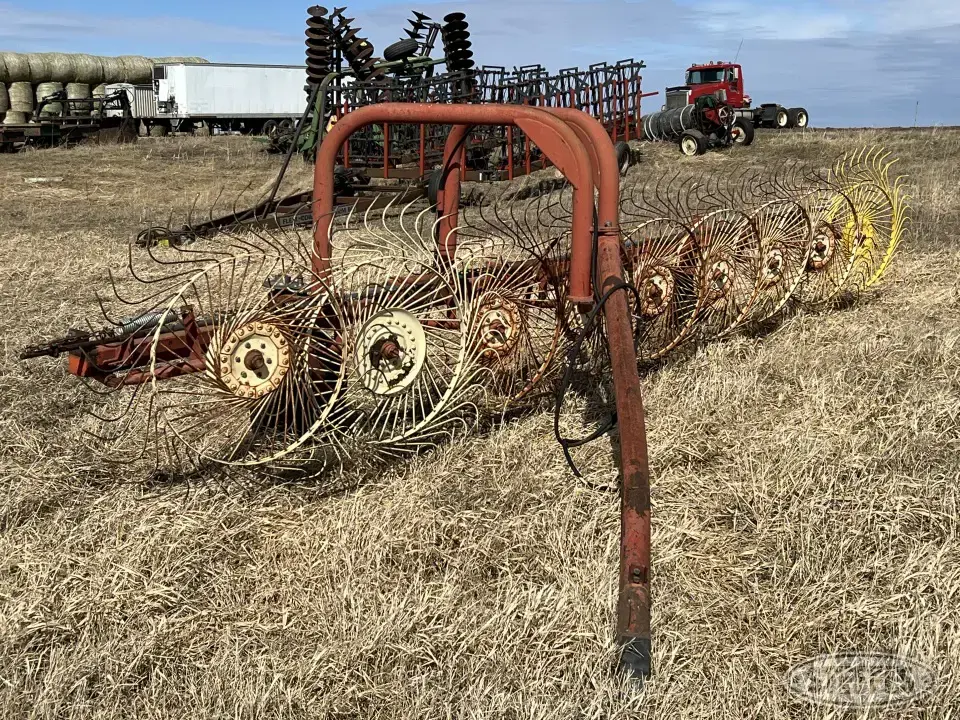 Sitrex TR79 Rake